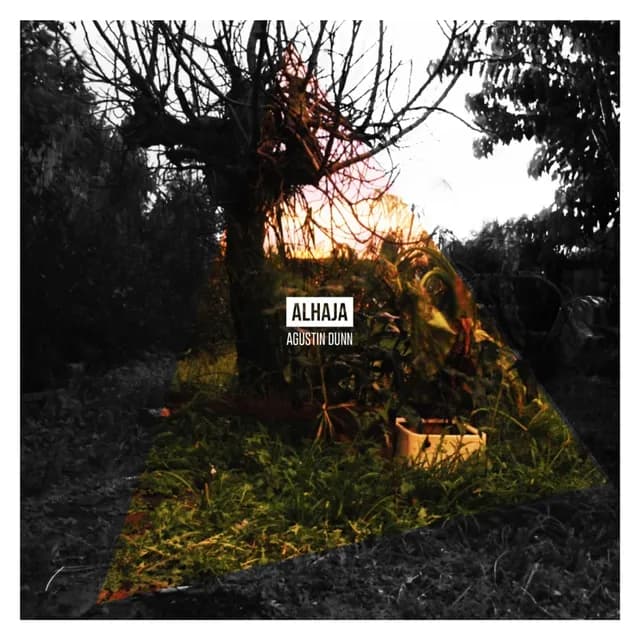 Agustin Dunn — Alhaja